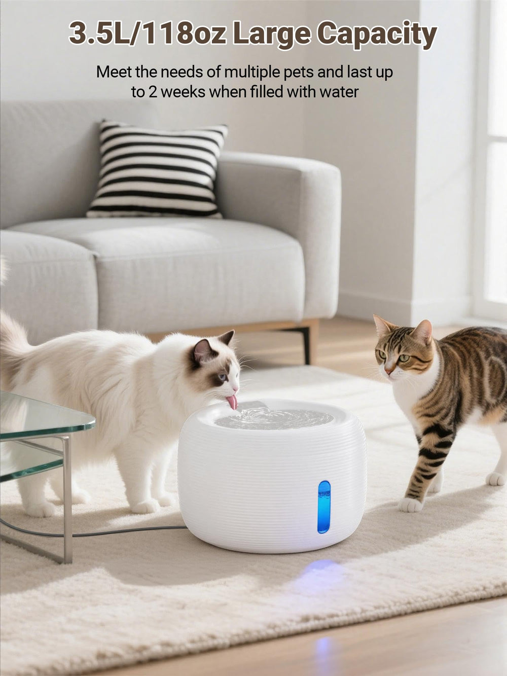 SIBAYS fountain shows blue LED indicator for water level awareness.