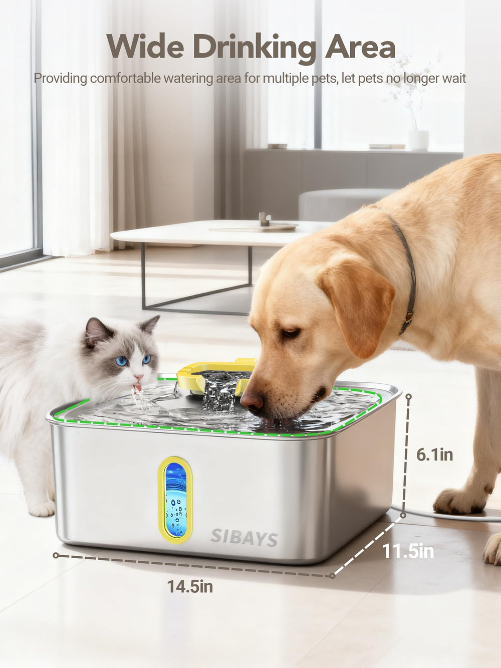 SIBAYS easy-clean design for quick disassembly and maintenance.