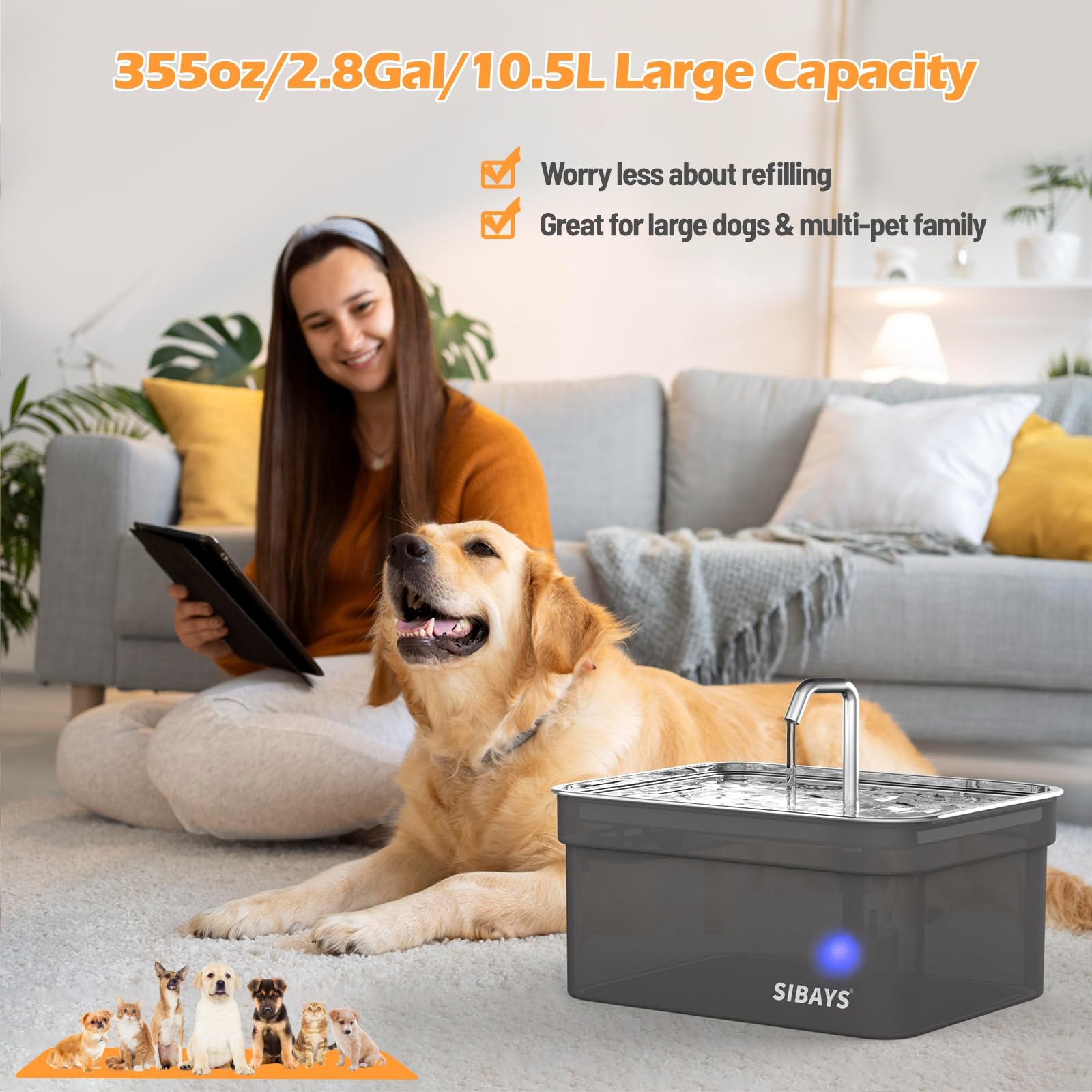 SIBAYS stainless steel bowl detail highlights durability and easy cleaning