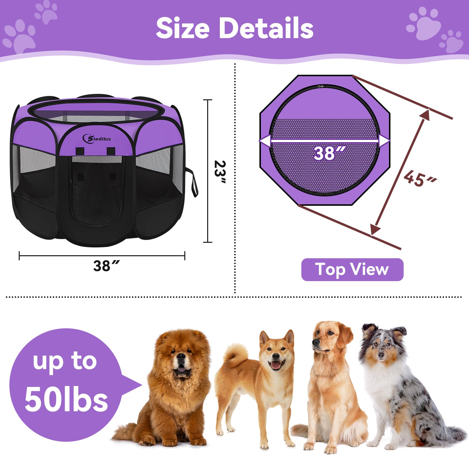Siedihit spacious enclosure with panoramic view for relaxed pets indoors.