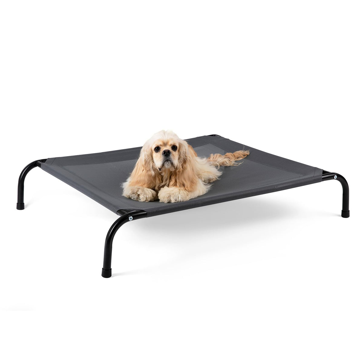 SIEMOUR cooling elevated dog bed front view highlighting breathable mesh for cooling comfort