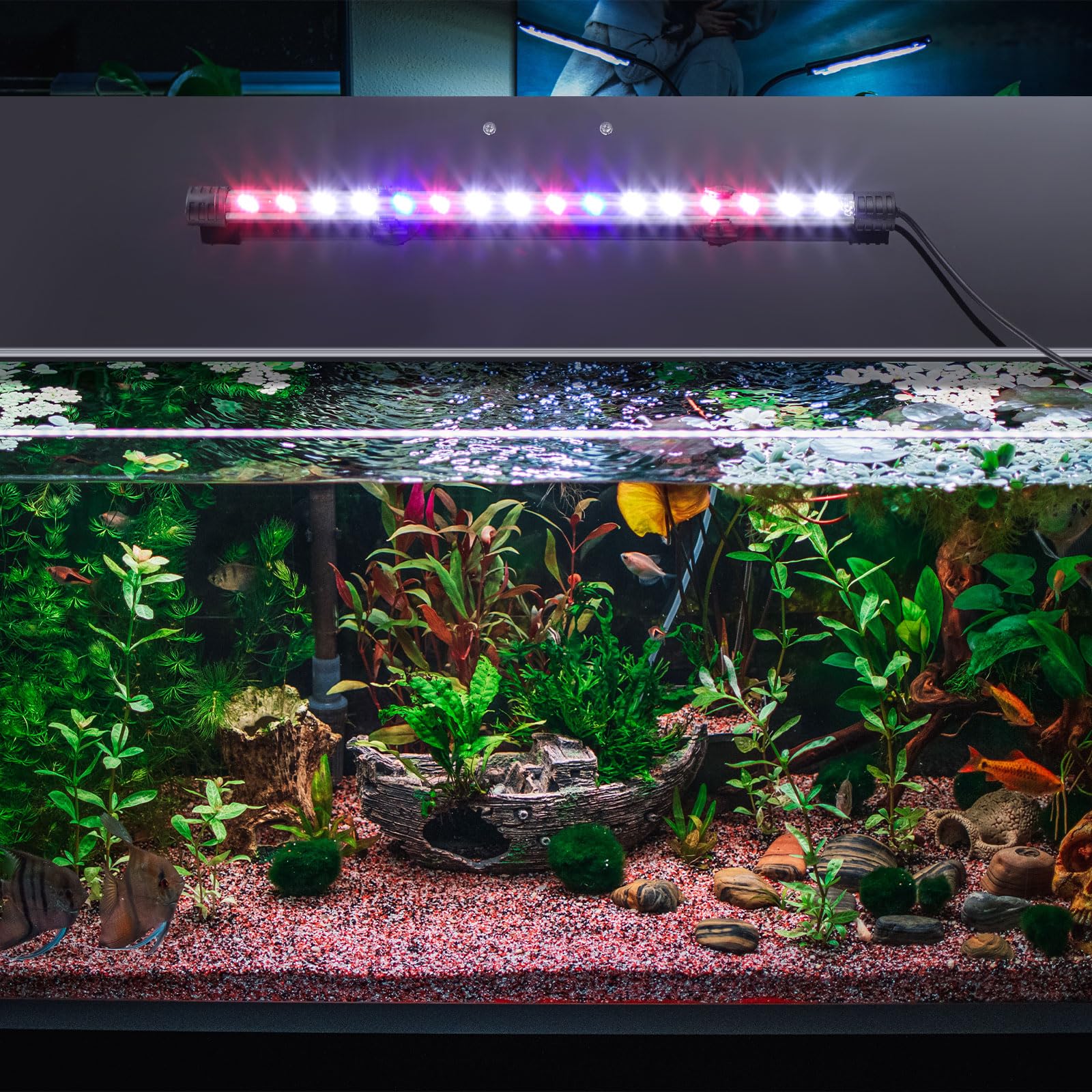 Sieral lid dimensions 22.95 x 11.5 x 0.12 inches for compatible tanks