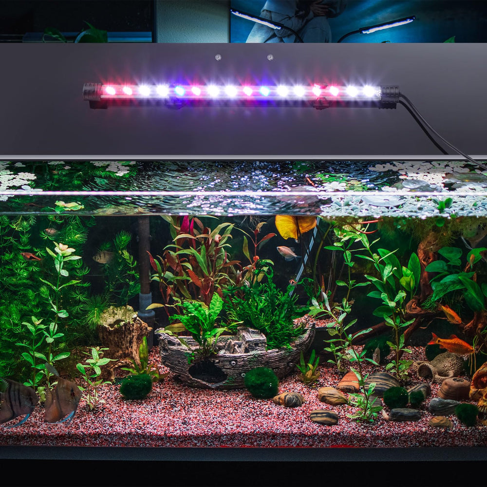 Sieral lid dimensions 22.95 x 11.5 x 0.12 inches for compatible tanks