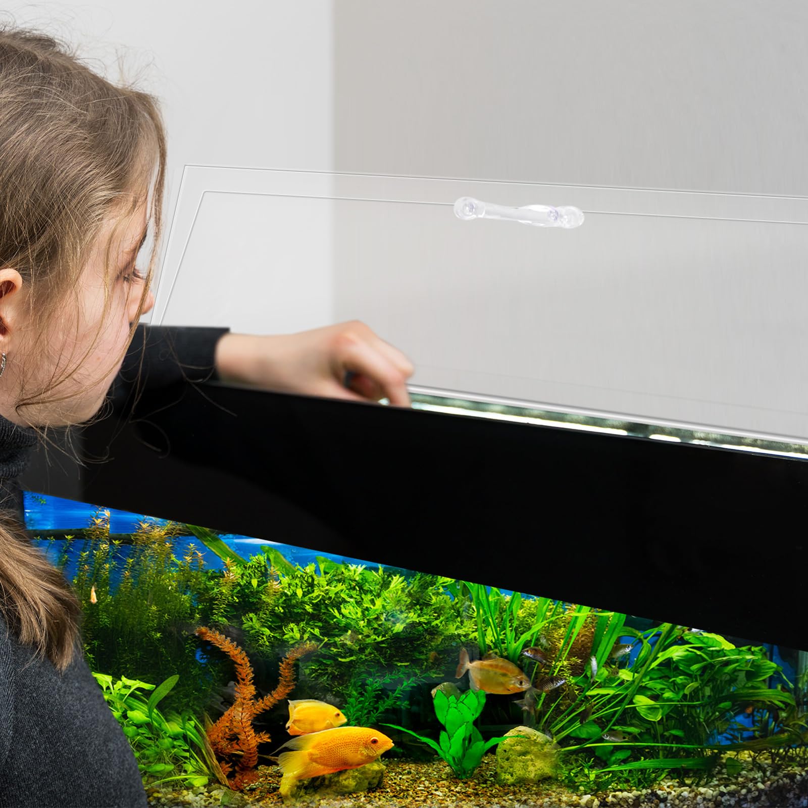 Sieral canopy enhances light penetration for vibrant tank views.