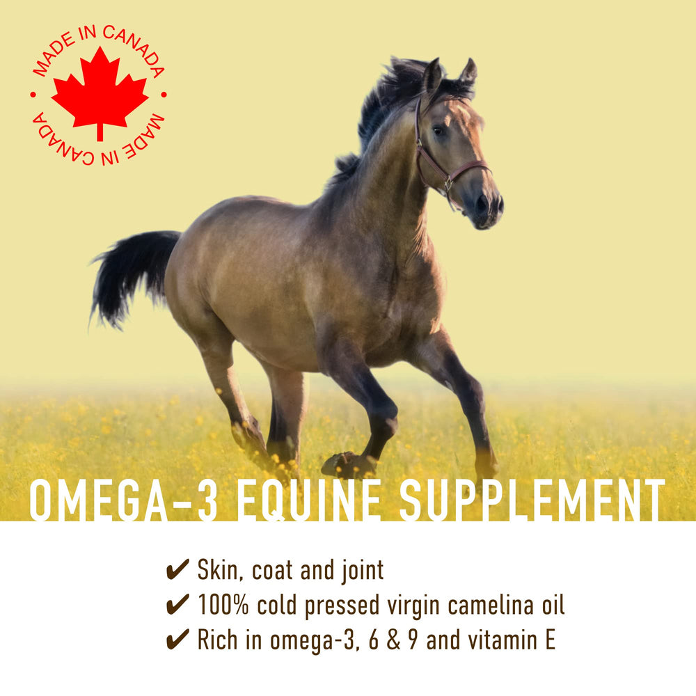 Signé Caméline camelina oil for horses coat close-up — golden oil nourishes shine.
