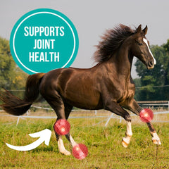 Signé Caméline camelina oil for horses pouring measure — smooth administration and joints support.