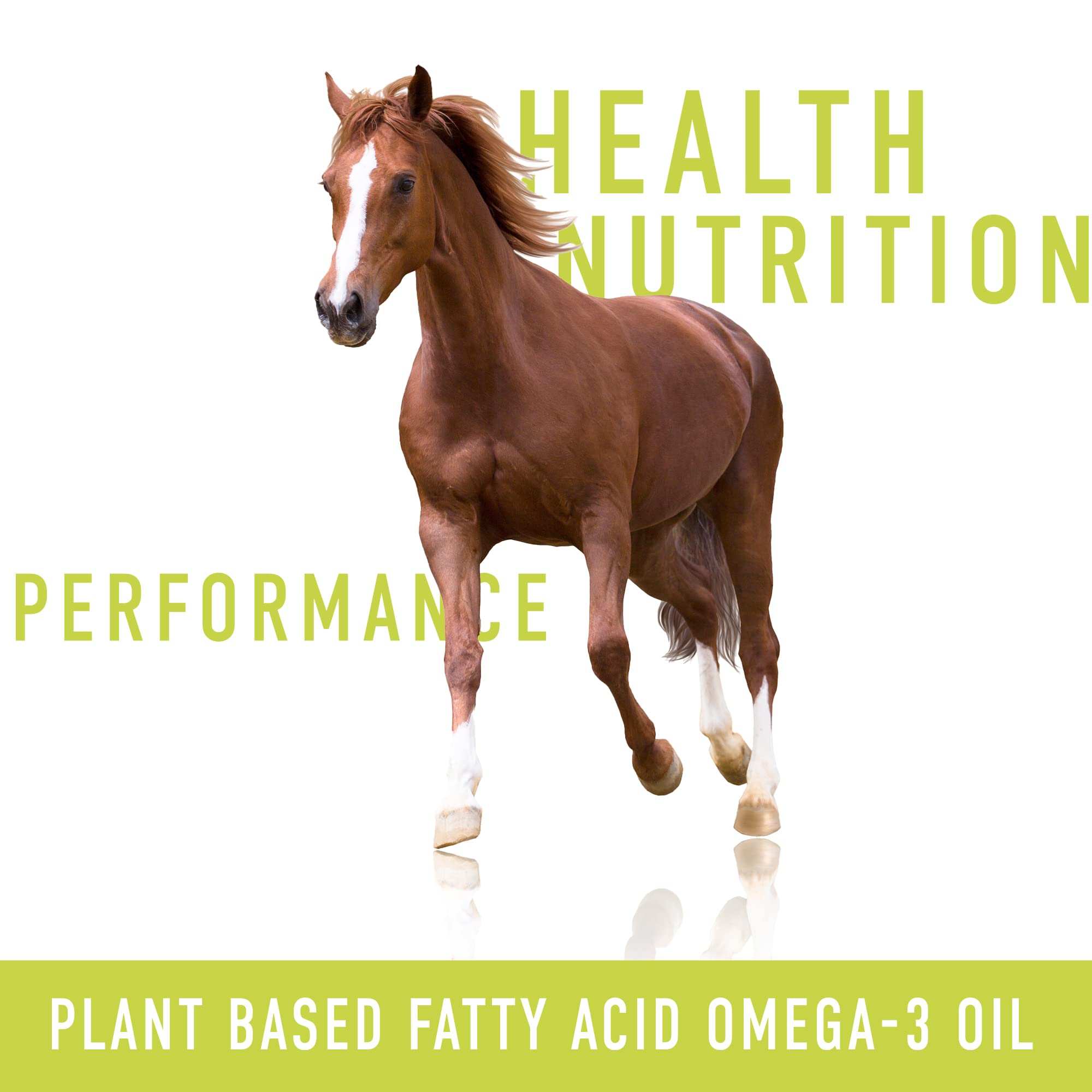 Signé Caméline camelina oil production plant — solar-powered processes reduce footprint.
