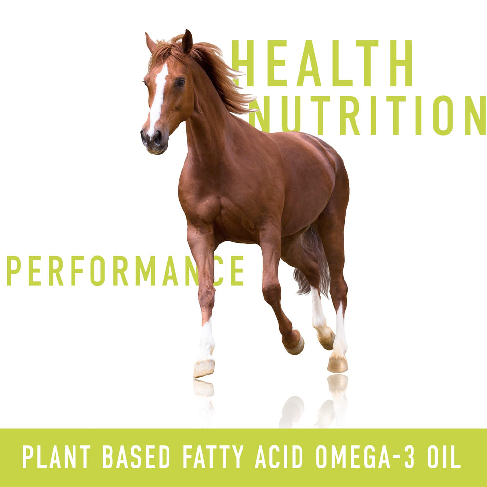 Signé Caméline camelina oil production plant — solar-powered processes reduce footprint.