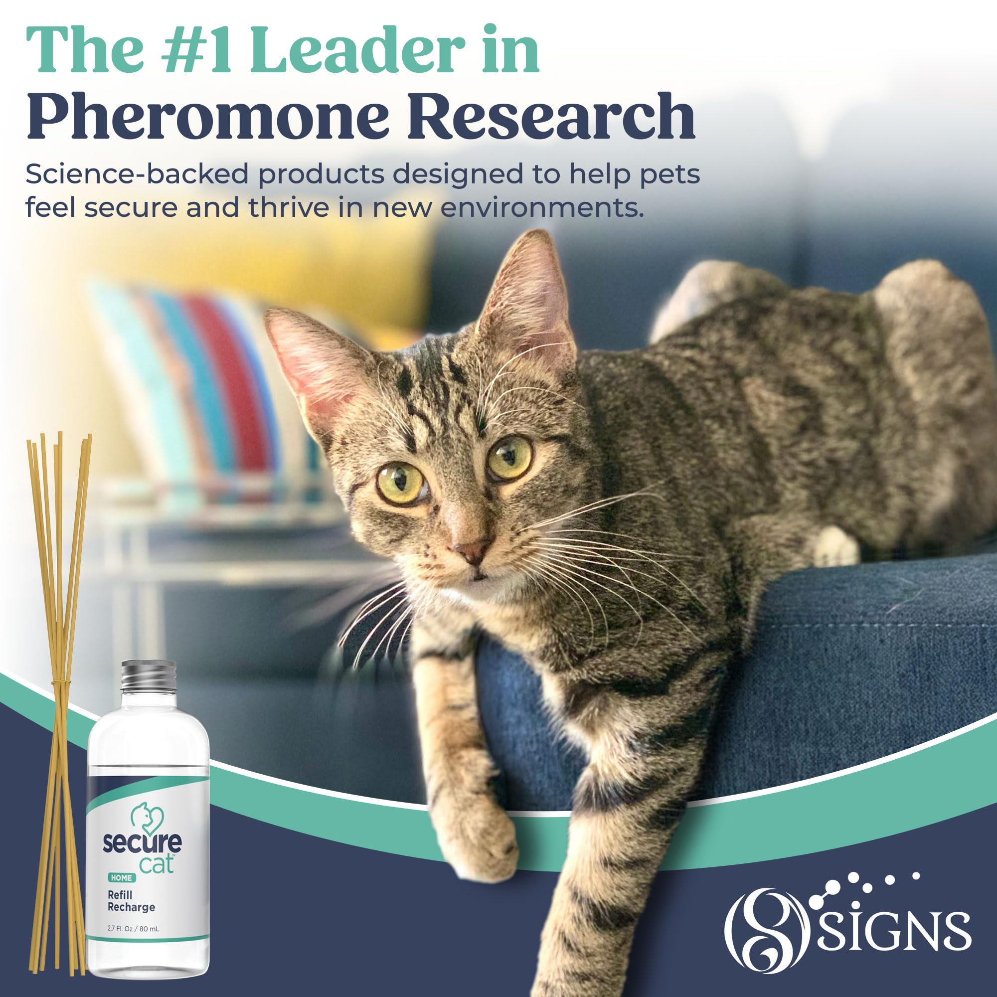 SIGNS SecureCat eco-friendly pheromone diffuser for ongoing home wellbeing.