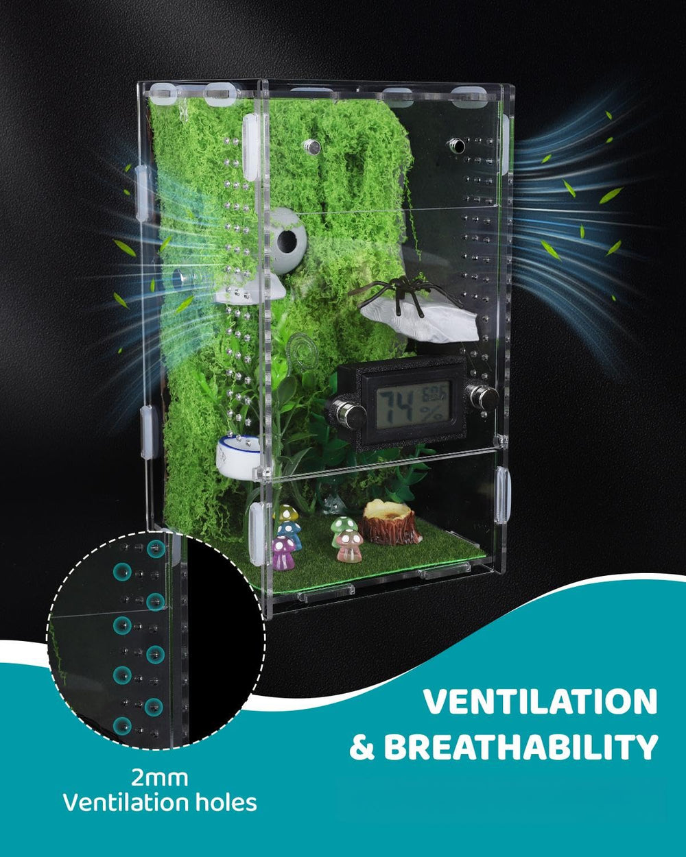 SIICCAR climbing platforms encourage natural movement inside the enclosure.