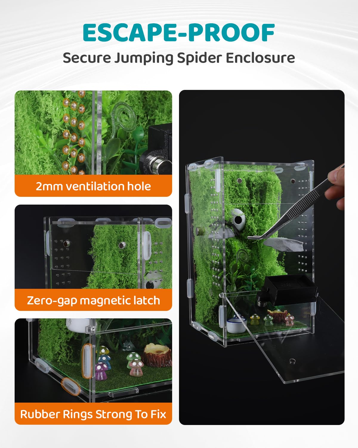 SIICCAR temperature humidity gauge helps monitor microclimate for small invertebrate care.
