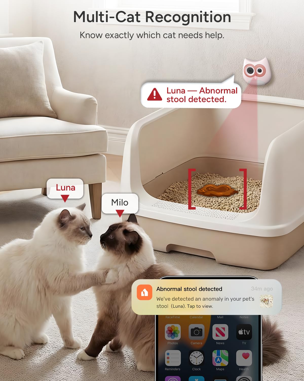 SiiPet LitterLens multi-cat differentiation identifies each cat’s events.