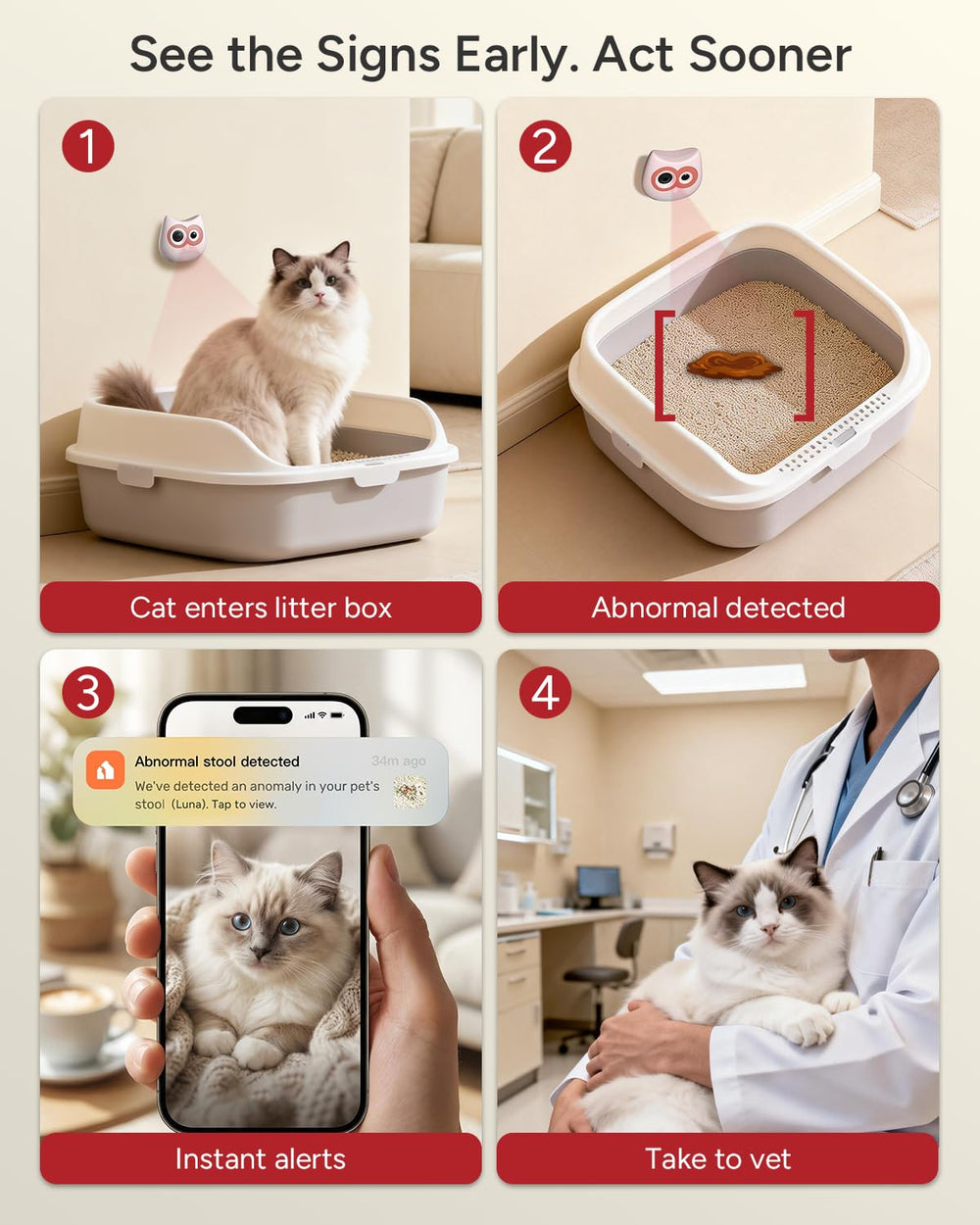 SiiPet LitterLens night mode view captures low-light litter box activity.