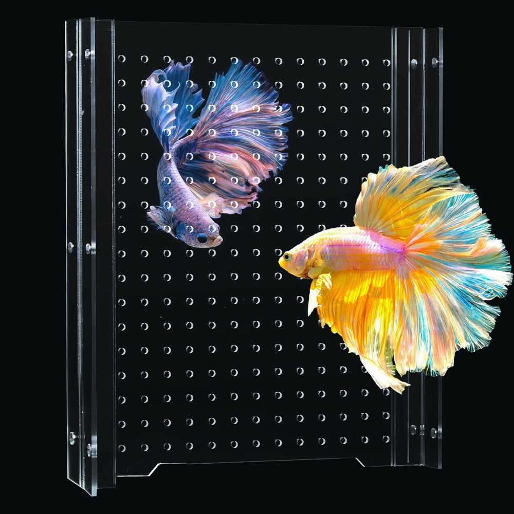SIKGFPN acrylic fish tank divider for 15-20 gallon long tanks, adjustable width keeps fish separated.
