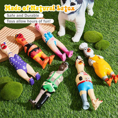Colorful Silipull chicken toys attract dogs during outdoor play.