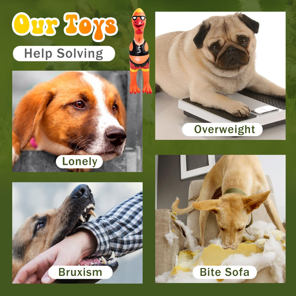 Variety of shapes keeps dogs mentally engaged during play.