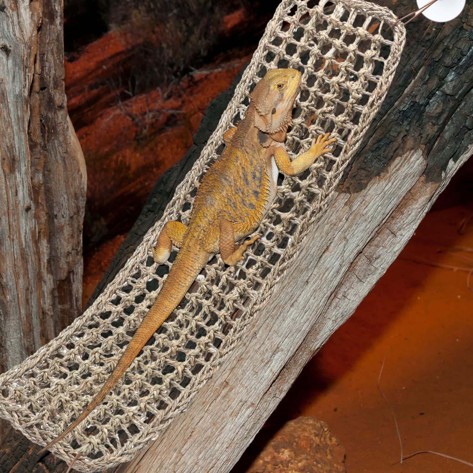 Silkfly adjustable hammock height allows pets to choose light distance