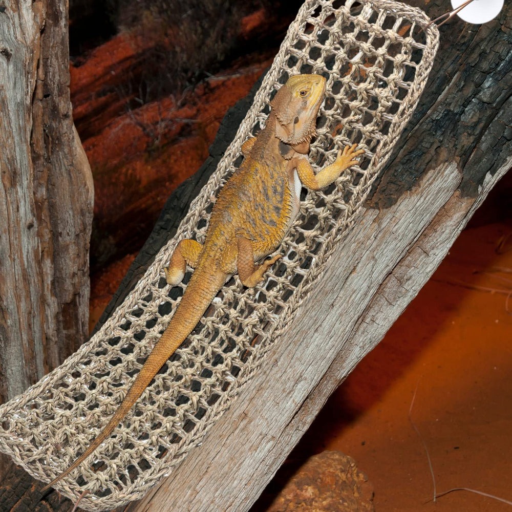 Silkfly adjustable hammock height allows pets to choose light distance