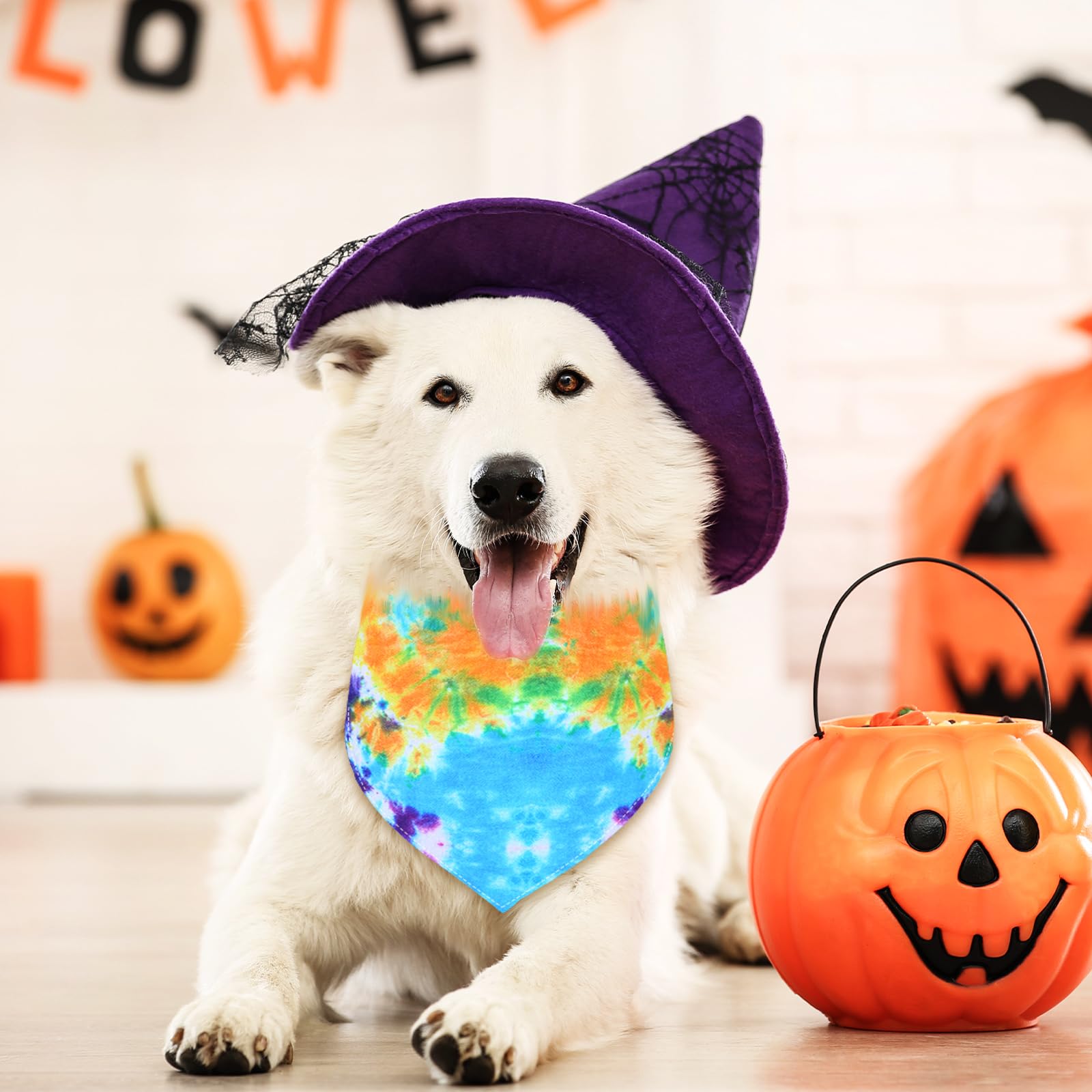 Silkfly dog kerchiefs for parties and family gatherings.