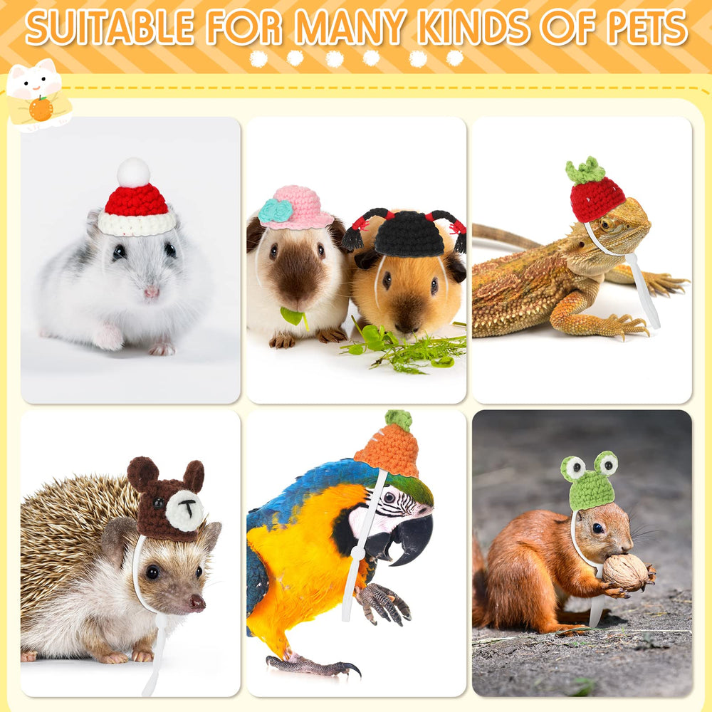 Silkfly frog style hat adds whimsy and color to animal photos