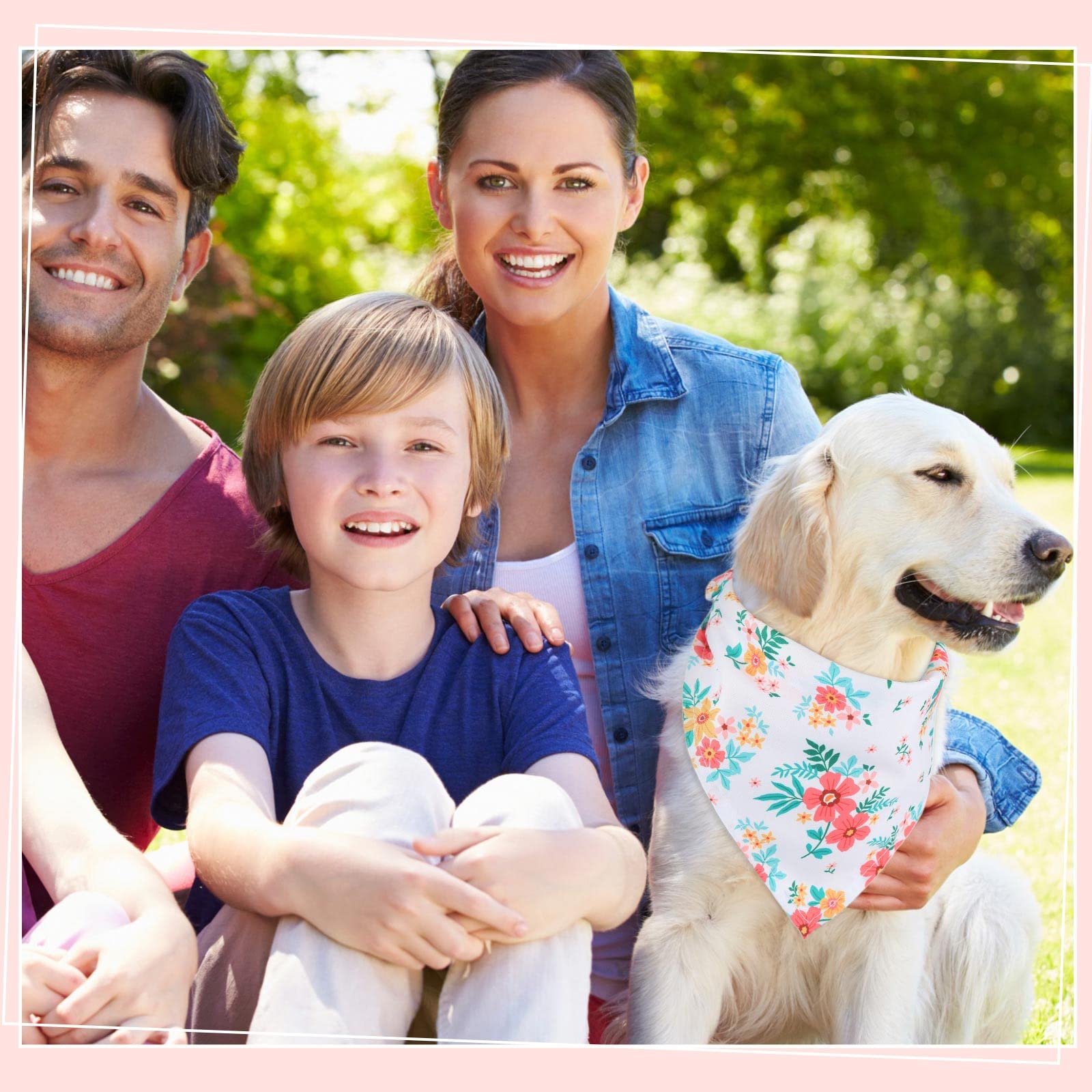 Silkfly pet bandanas brighten photoshoots with vibrant prints.