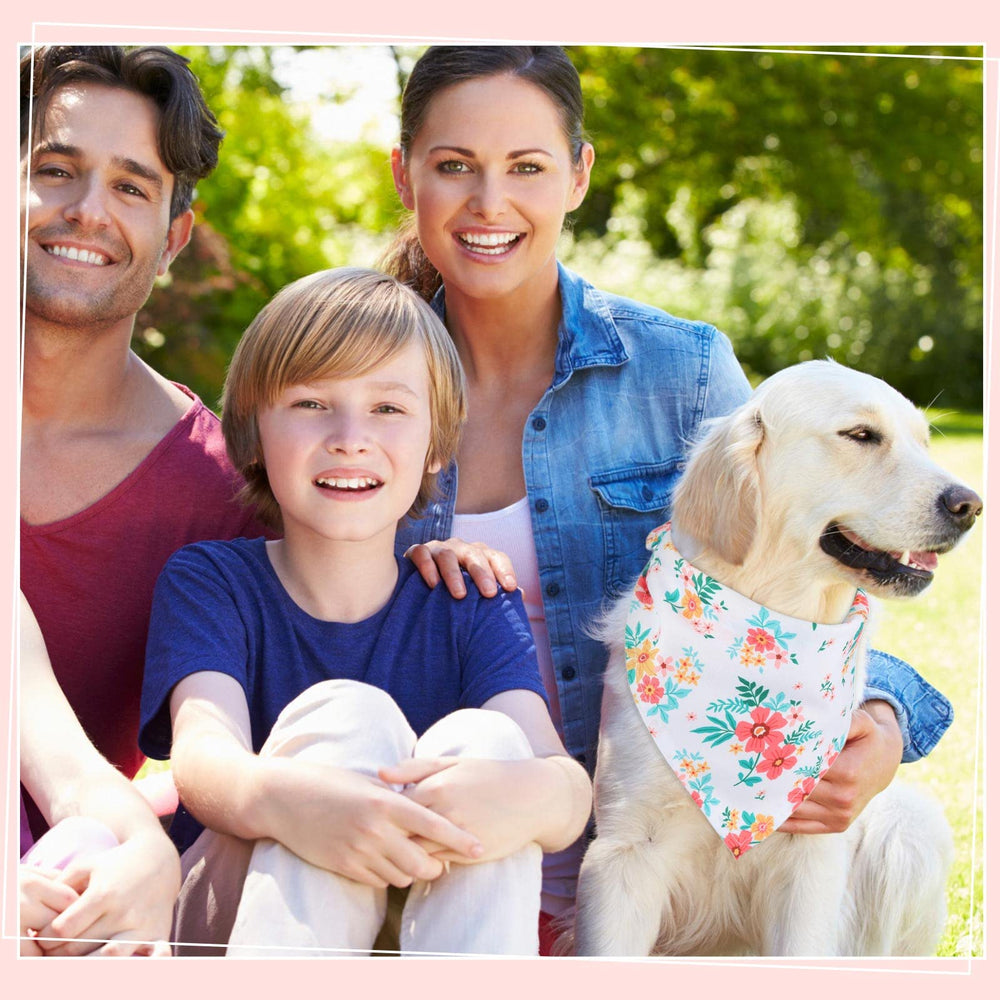 Silkfly pet bandanas brighten photoshoots with vibrant prints.