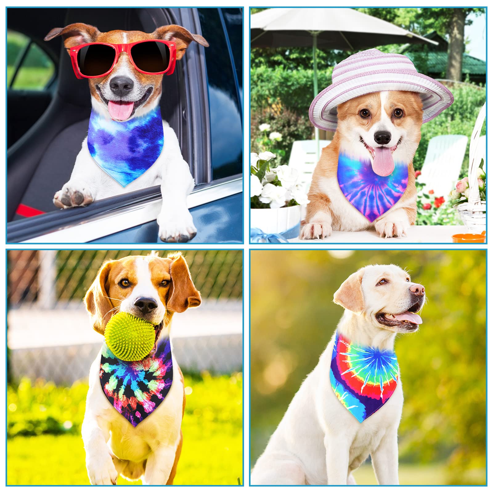 Silkfly travel-friendly dog bandana as a versatile photo prop