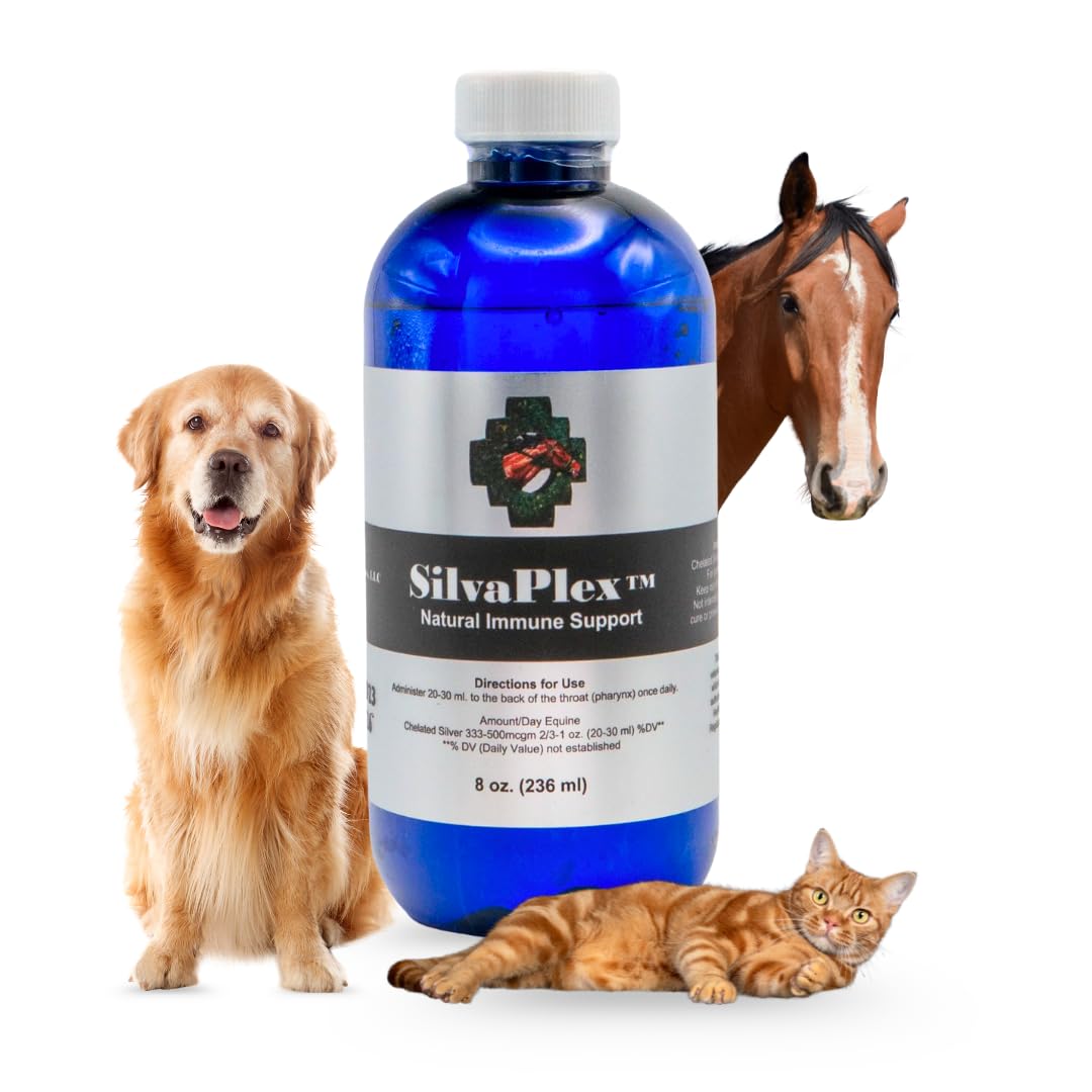 SILVAPLEX bottle pour showing 100 PPM chelated silver for daily wellness support.