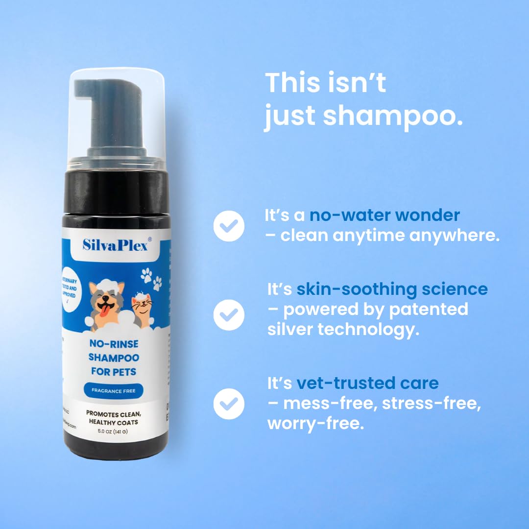 SILVAPLEX No Rinse Foam drying time shows 2-3 minute quick cleanse