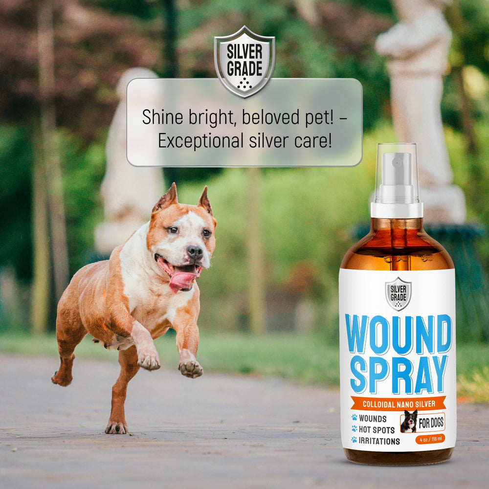 SILVER GRADE on-dog-skin patch demonstrates convenient care on affected area.