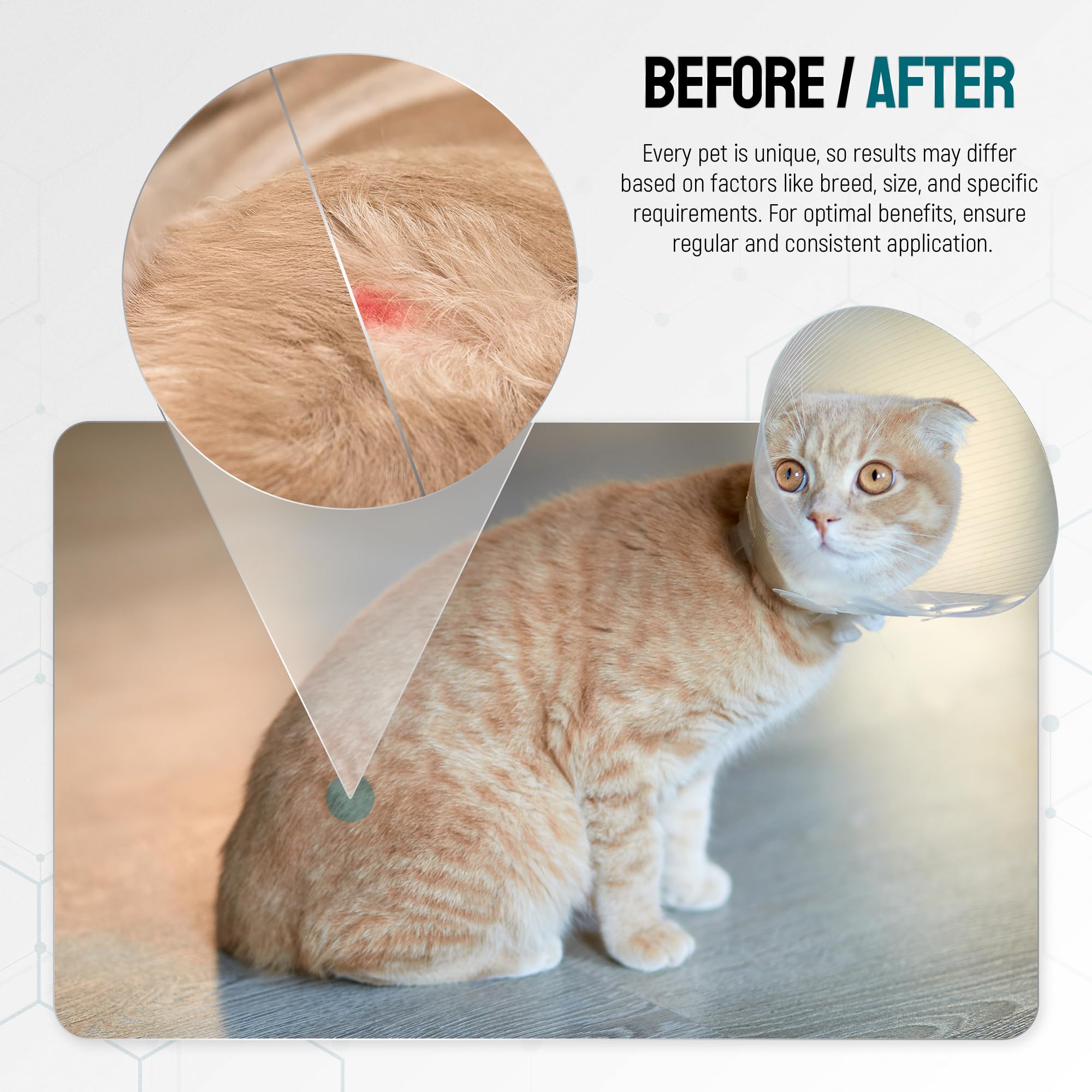 SILVER GRADE paw and skin care with moisturizing gel