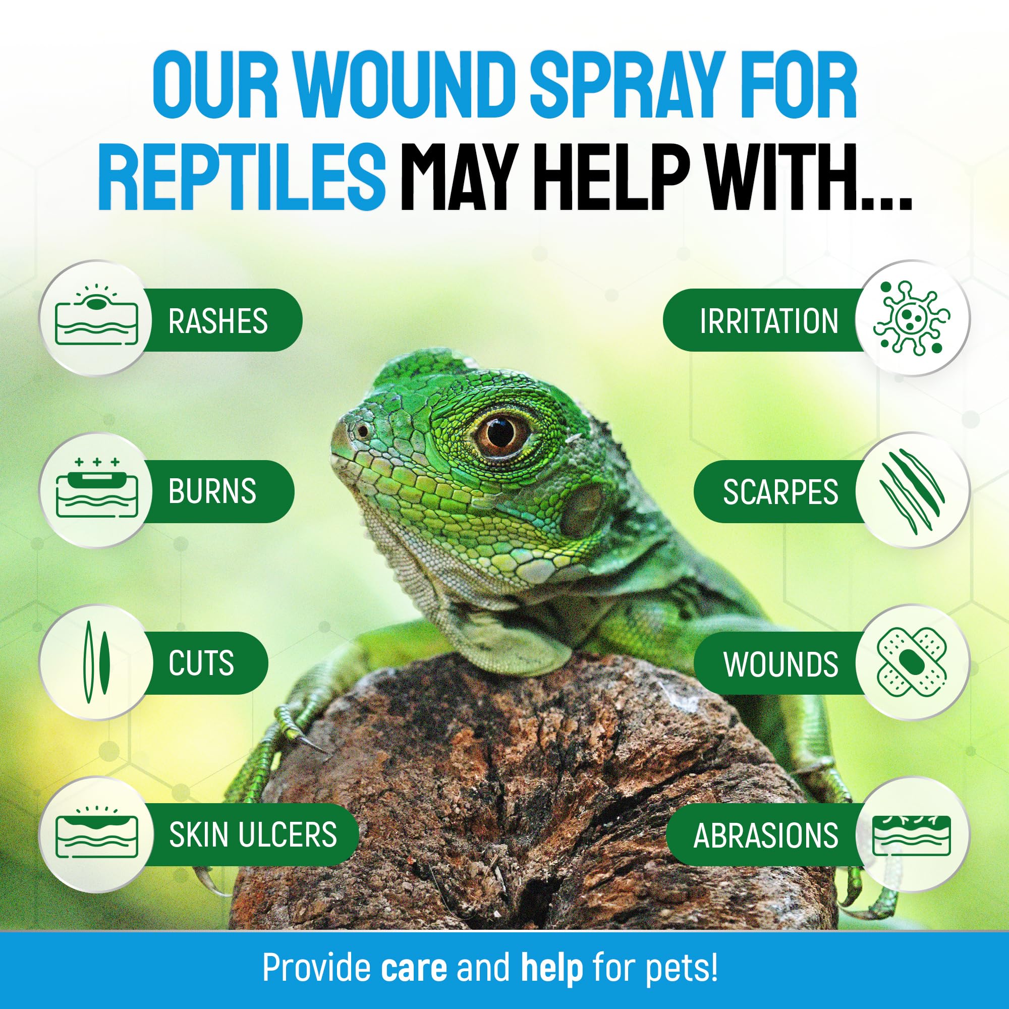 Applying SILVER GRADE Reptile Wound Care Spray to a wound