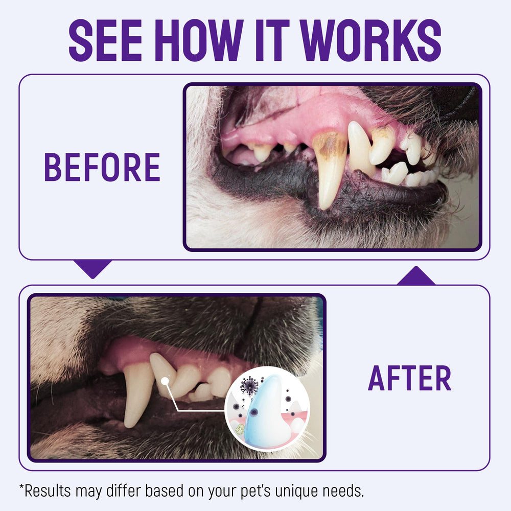 SILVER GRADE tartar-remover-dogs-cats-spray supports cleaning gums