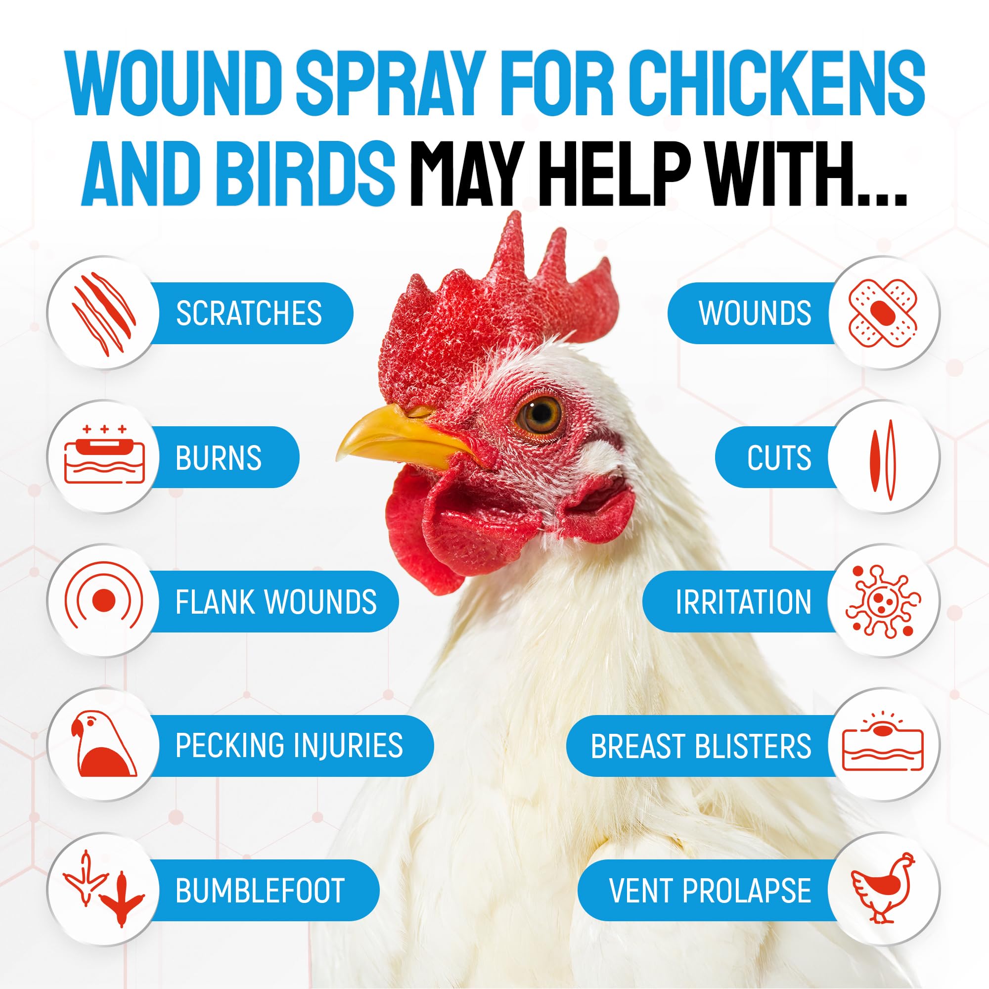 SILVER GRADE wound spray addressing bumblefoot relief on poultry.