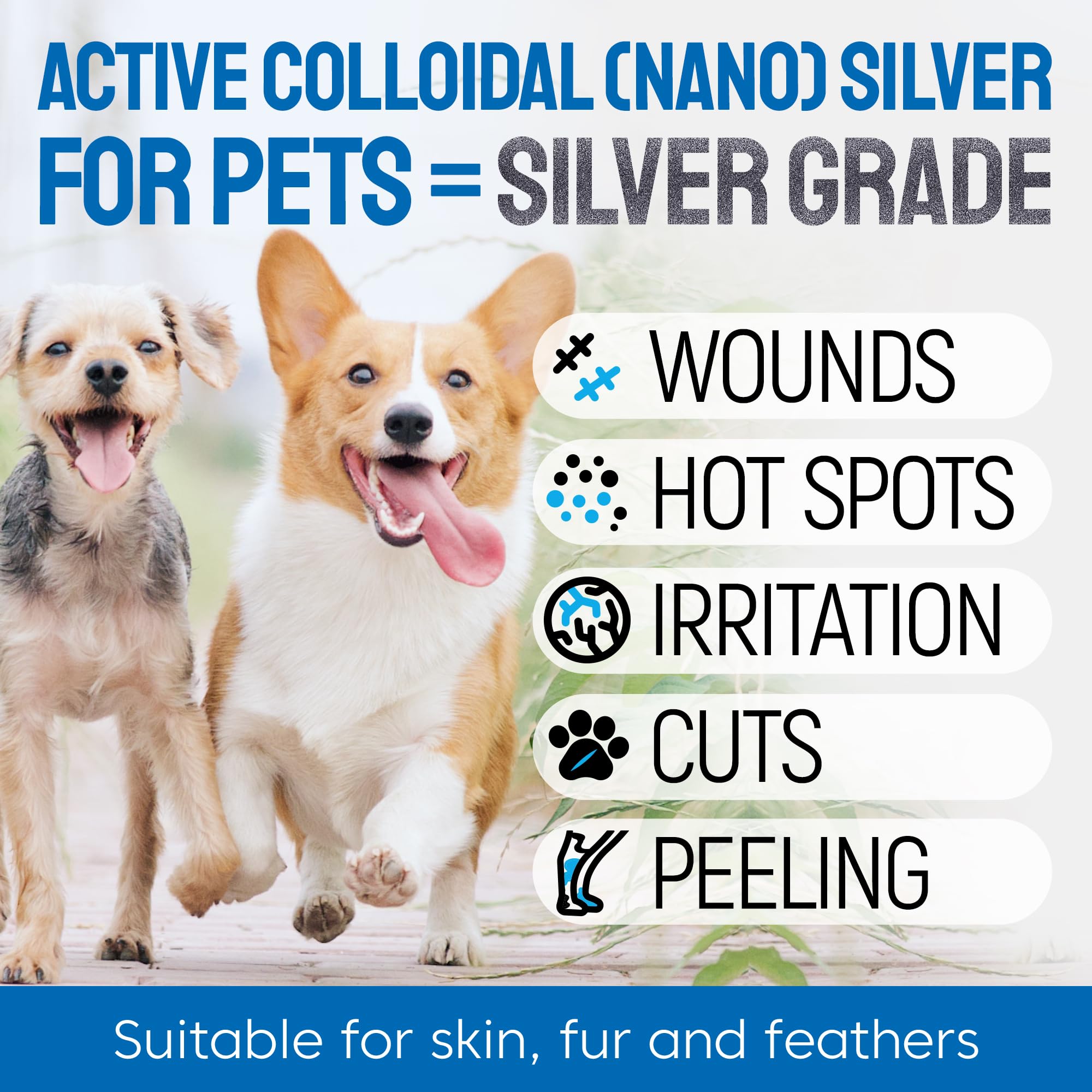 Silver Grade Wound Spray applied on a cat hot spot for irritation relief.