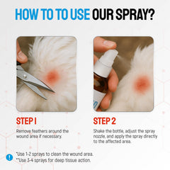 SILVER GRADE wound spray on a chicken for cuts and skin care.