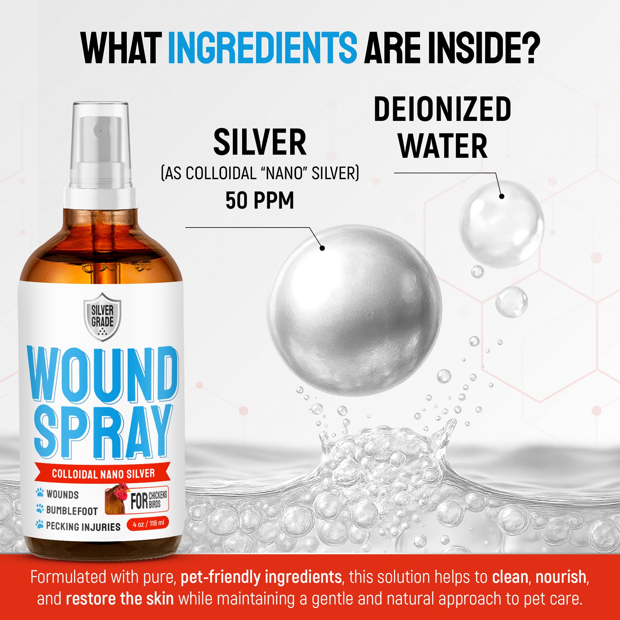 SILVER GRADE wound spray treating pecking sores on a chicken.