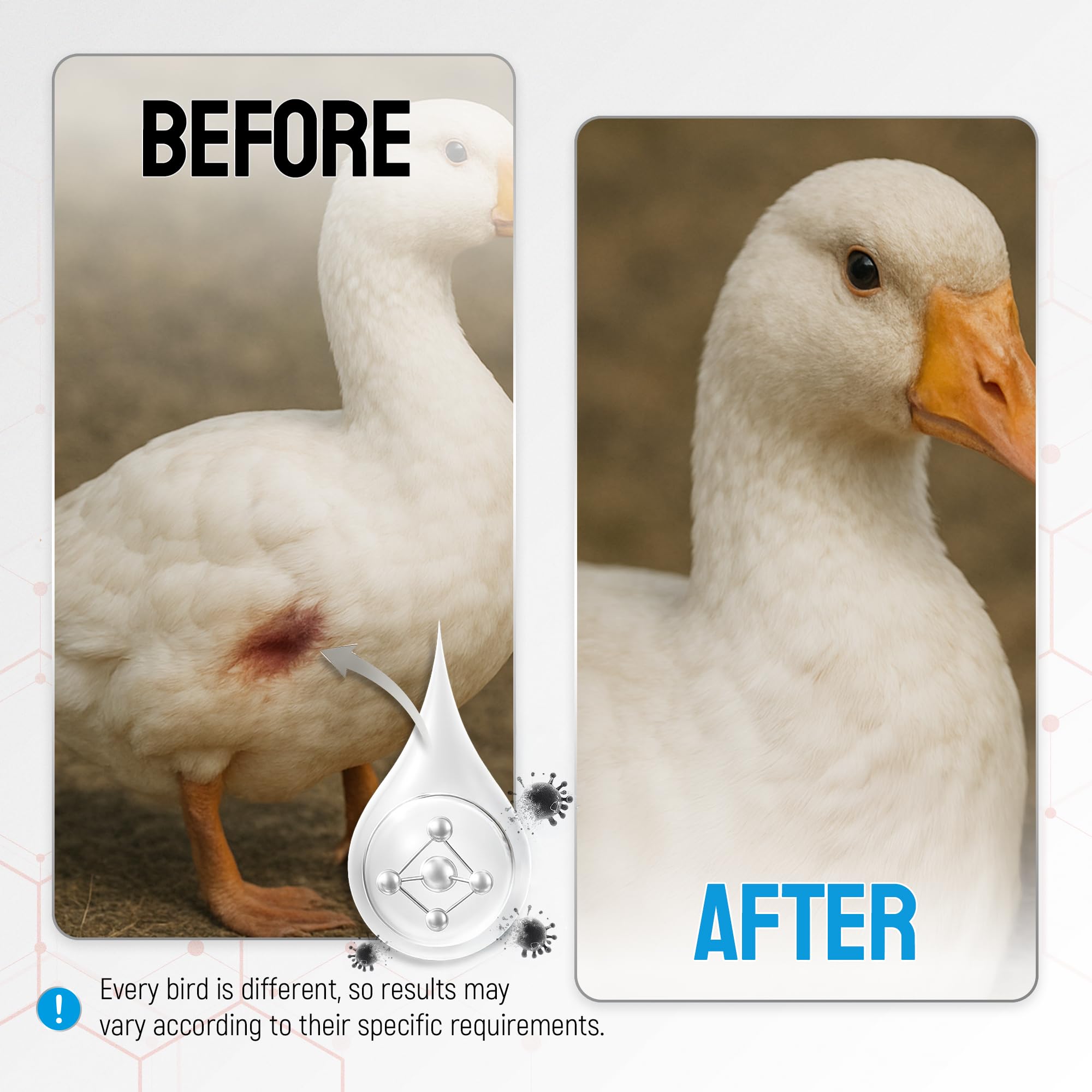 SILVER GRADE wound spray compact for travel with poultry.