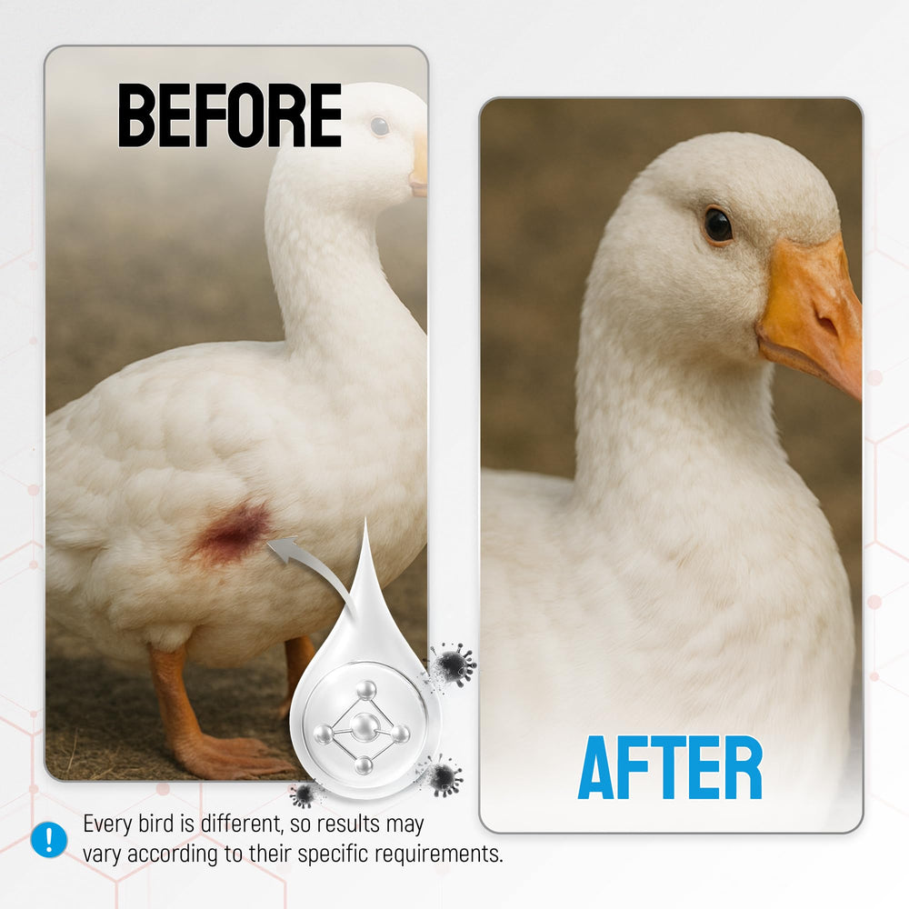 SILVER GRADE wound spray compact for travel with poultry.