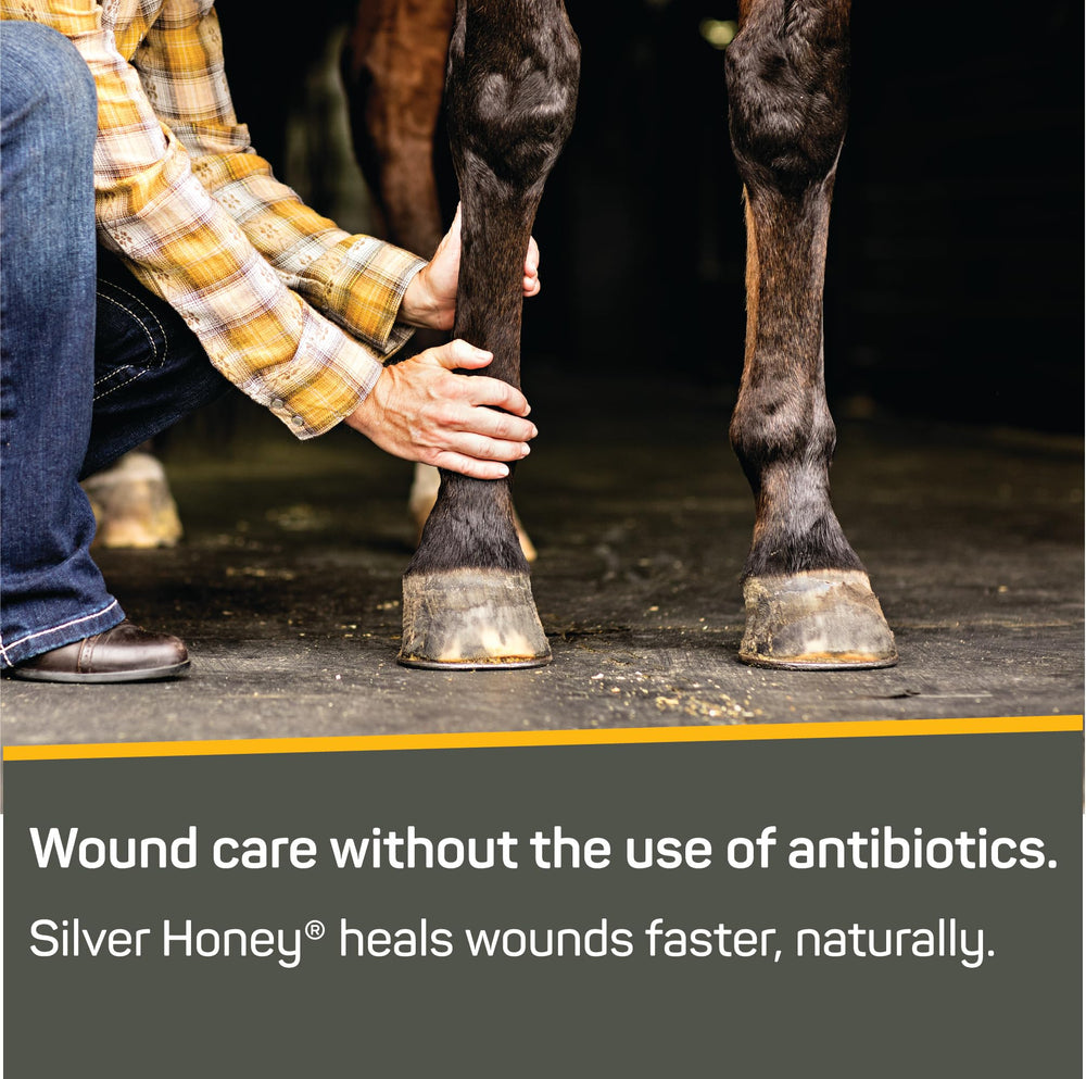 Silver Honey equine wound care application shown on skin area.