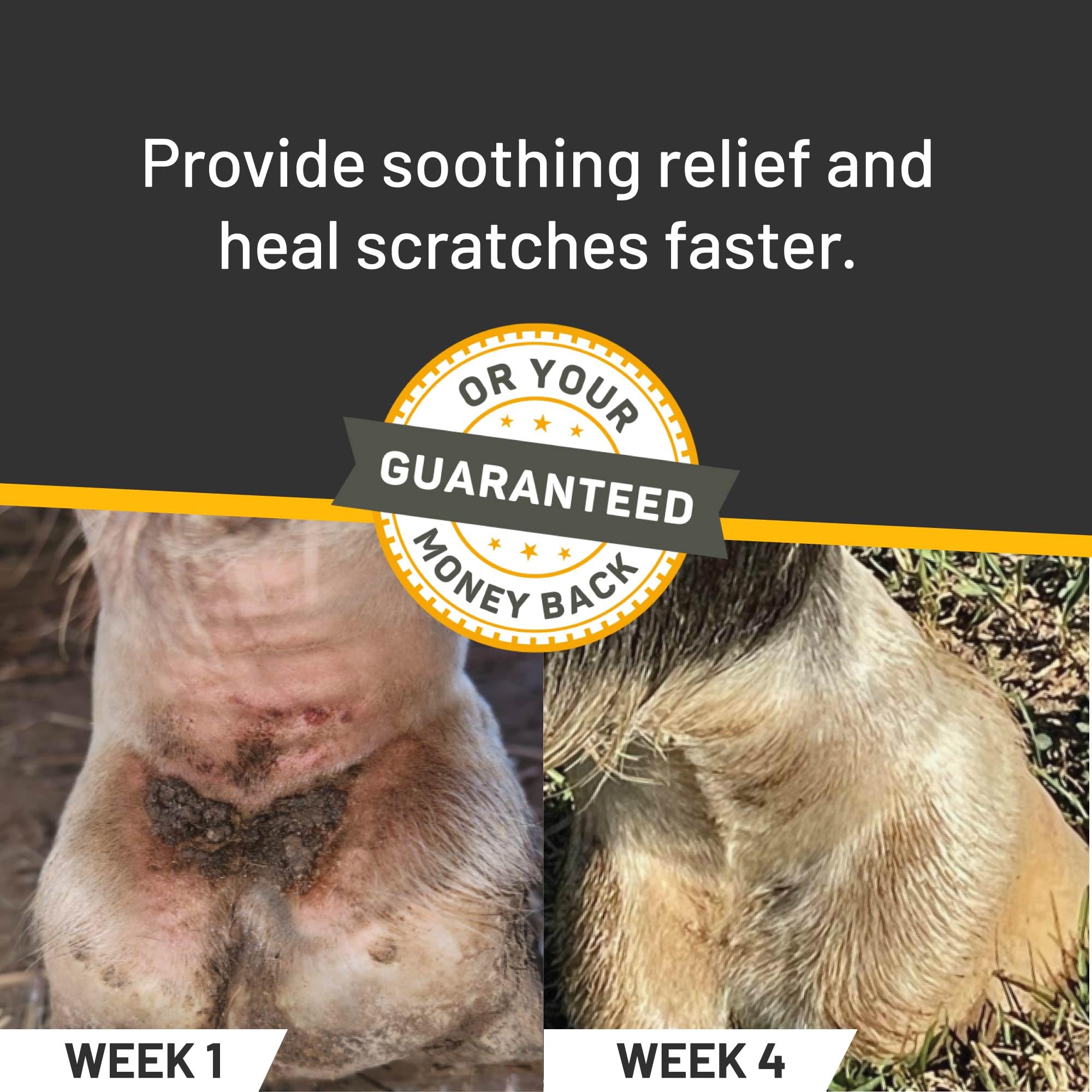 Silver Honey rapid relief application steps show easy use on horses.