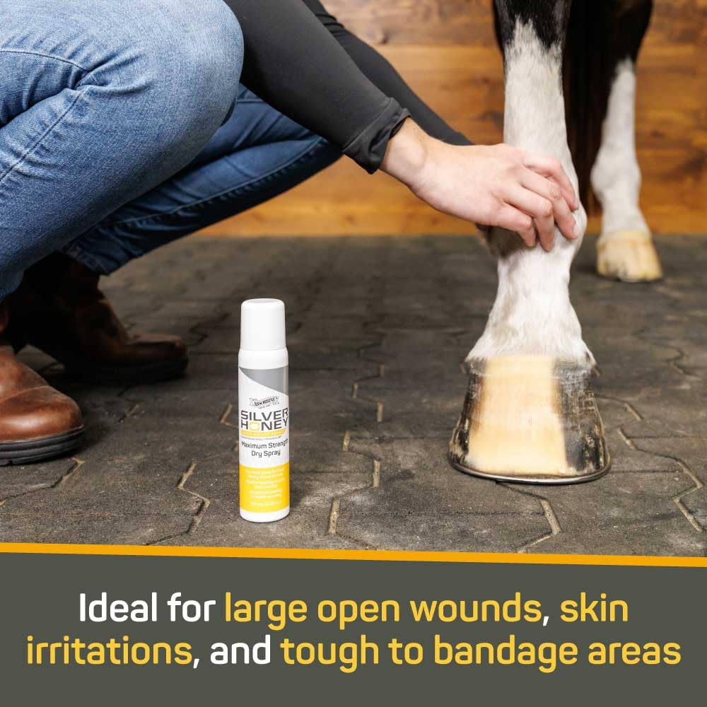 Silver Honey Rapid Wound Repair label highlights Manuka honey ingredients for natural wound care.
