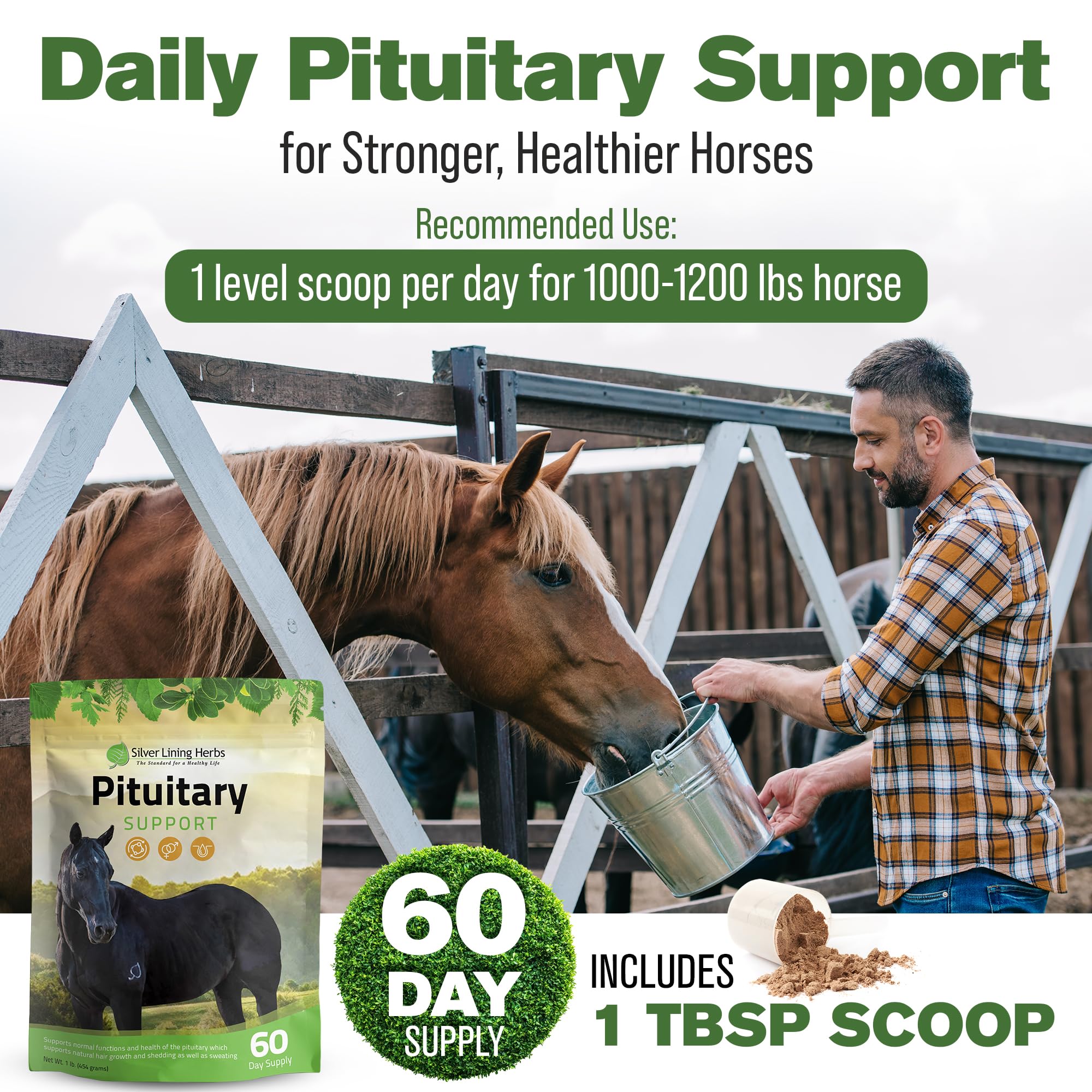 Horse enjoying fortified feed with Silver Lining Herbs for seasonal shedding comfort
