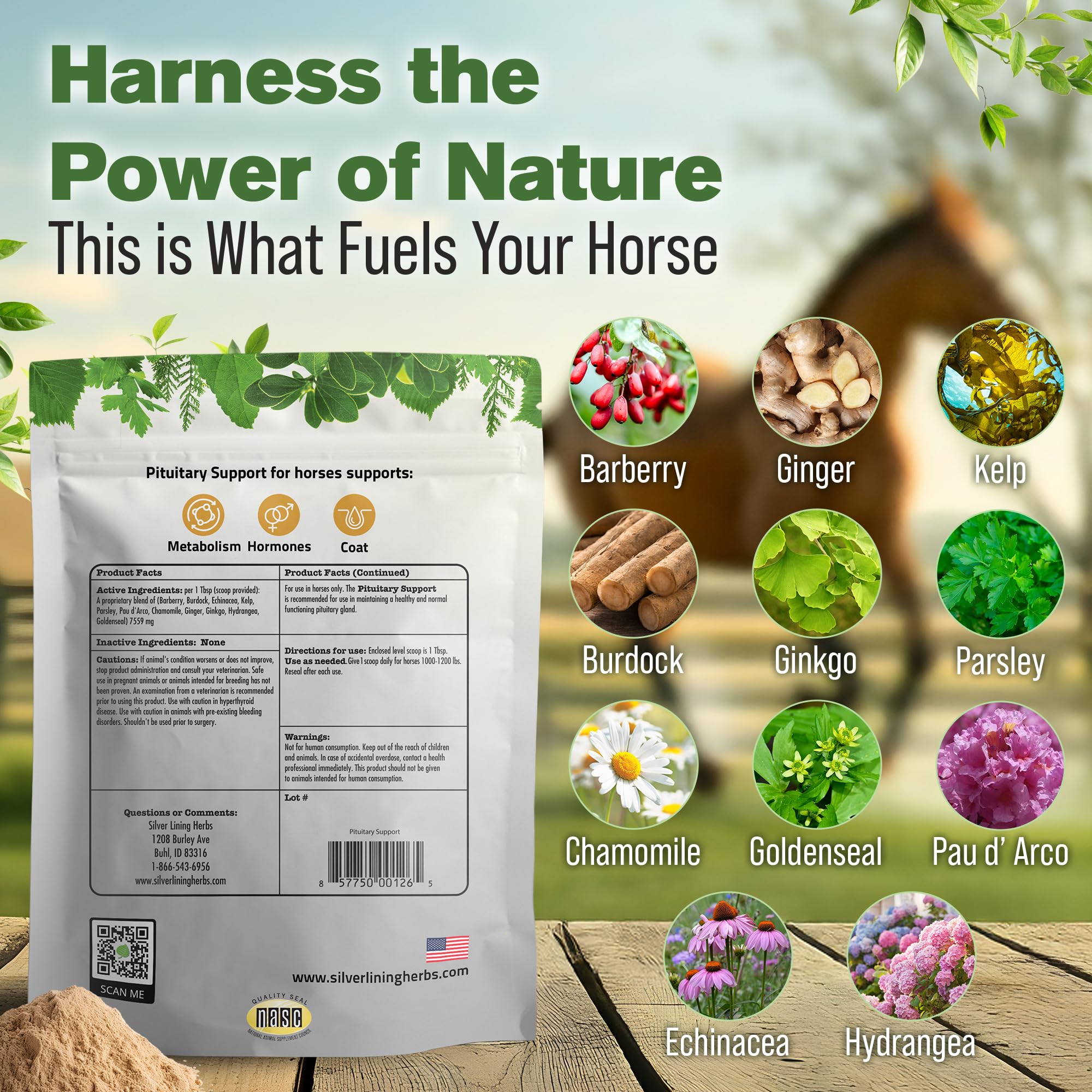 Close-up of Silver Lining Herbs label highlighting natural ingredients for endocrine-friendly care