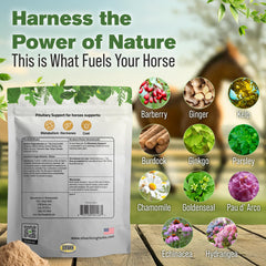 Close-up of Silver Lining Herbs label highlighting natural ingredients for endocrine-friendly care