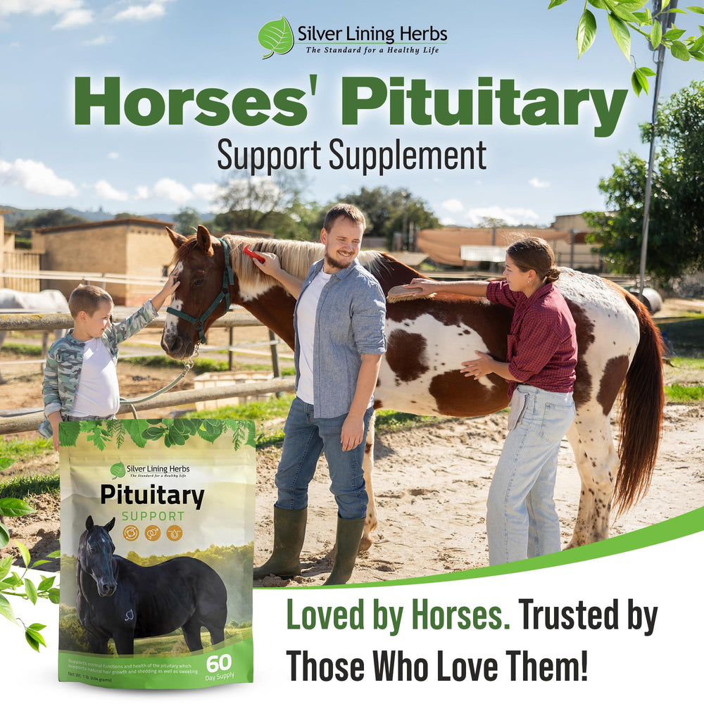 Production facility image signals NASC-compliant quality for Silver Lining Herbs supplements