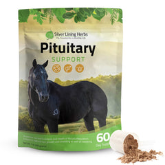 Silver Lining Herbs pituitary supplement bottle supports hormonal balance for horses