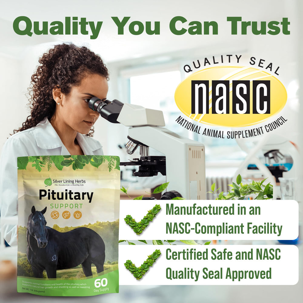 USA-made facility underscores trusted production standards for Silver Lining Herbs horse care