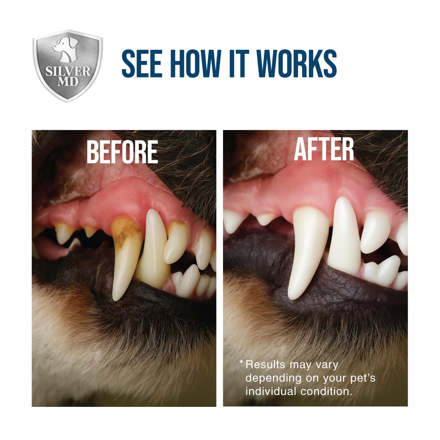 SilverMD dental spray bottle showing natural, gentle formula for pets.