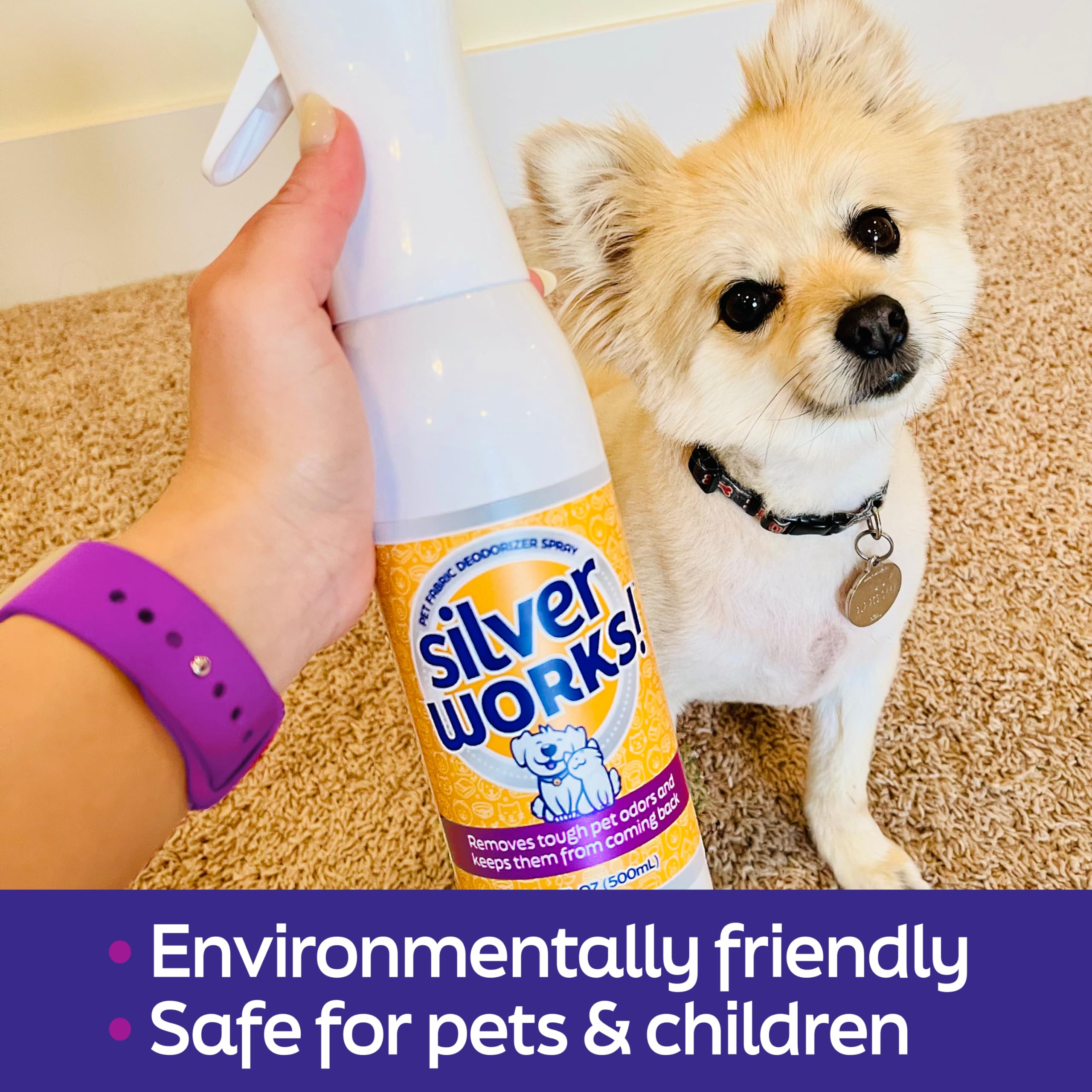 SilverWorks! Pet Odor Eliminator near litter boxes reduces lingering smells.